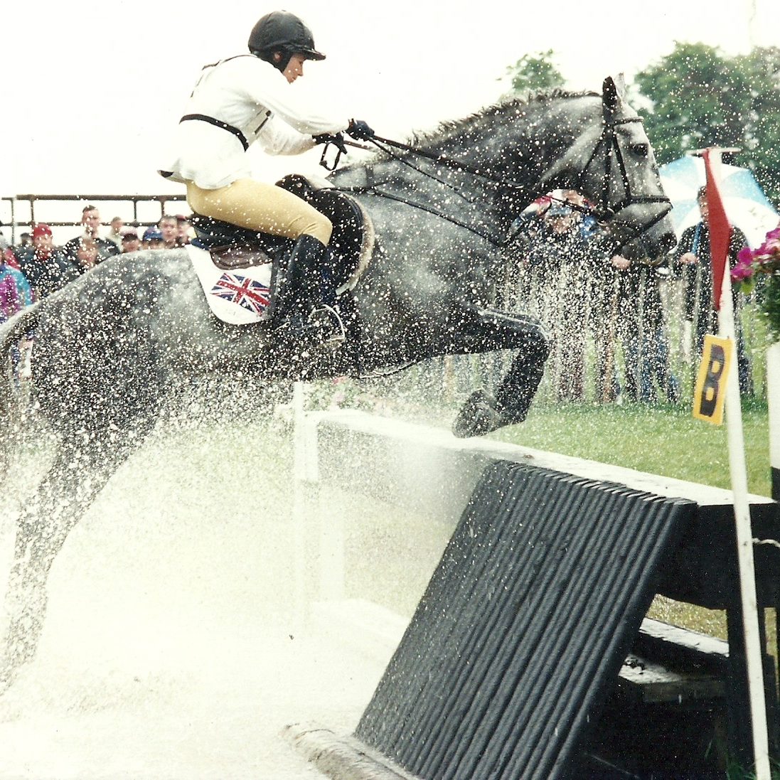 Silver Shadow, Punchestown CCI***